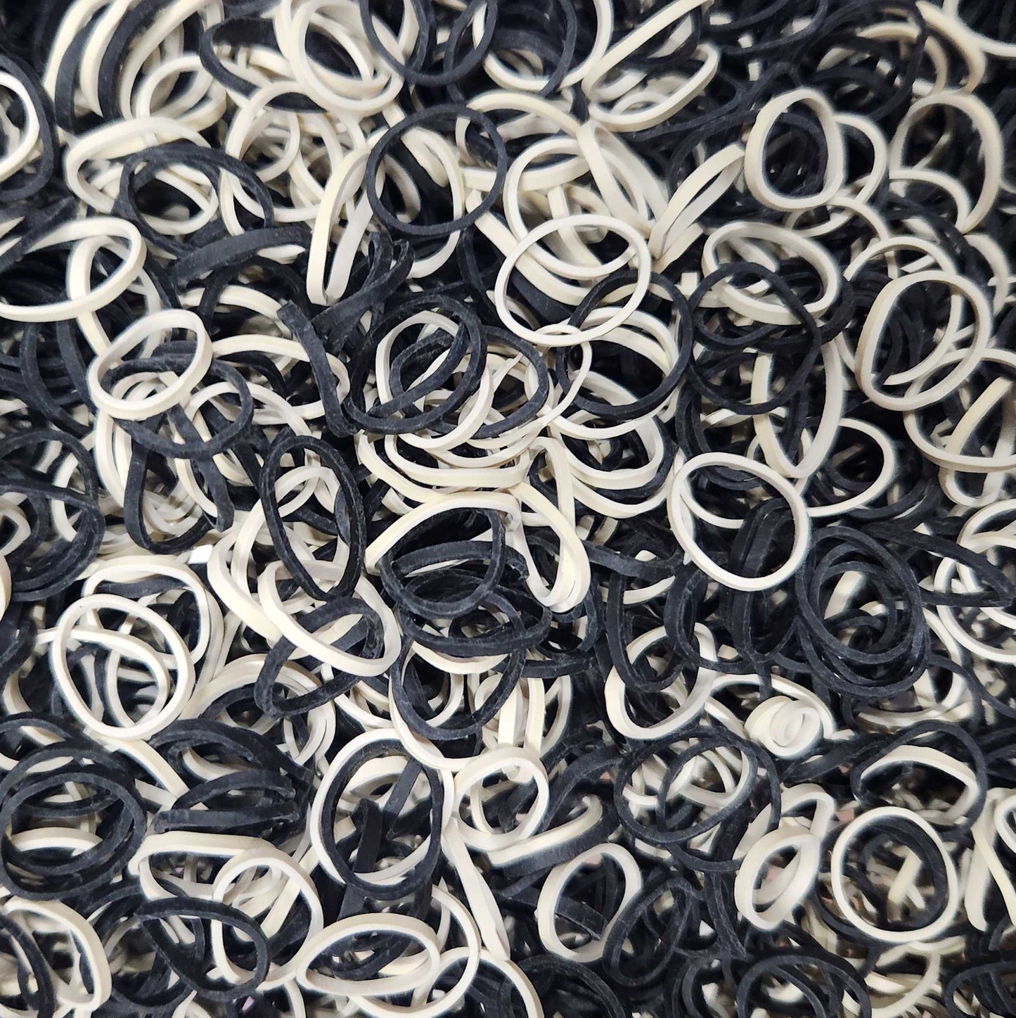 Amelia Beauty | 1/2in, 500ct Elastic Rubber Band Pony Tail Holders | Made in USA | Dozen Pack