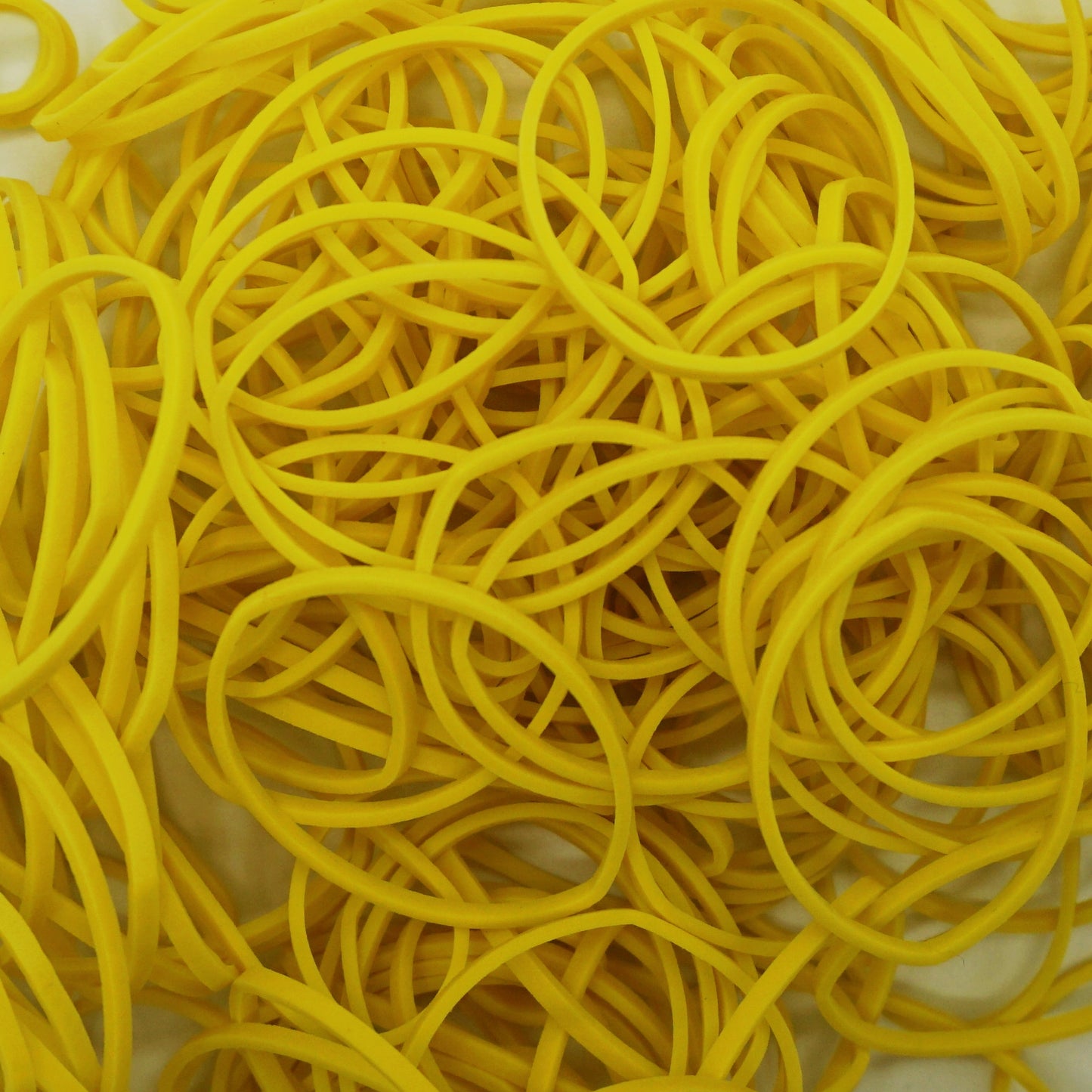 1lb, Jumbo Rubber Bands