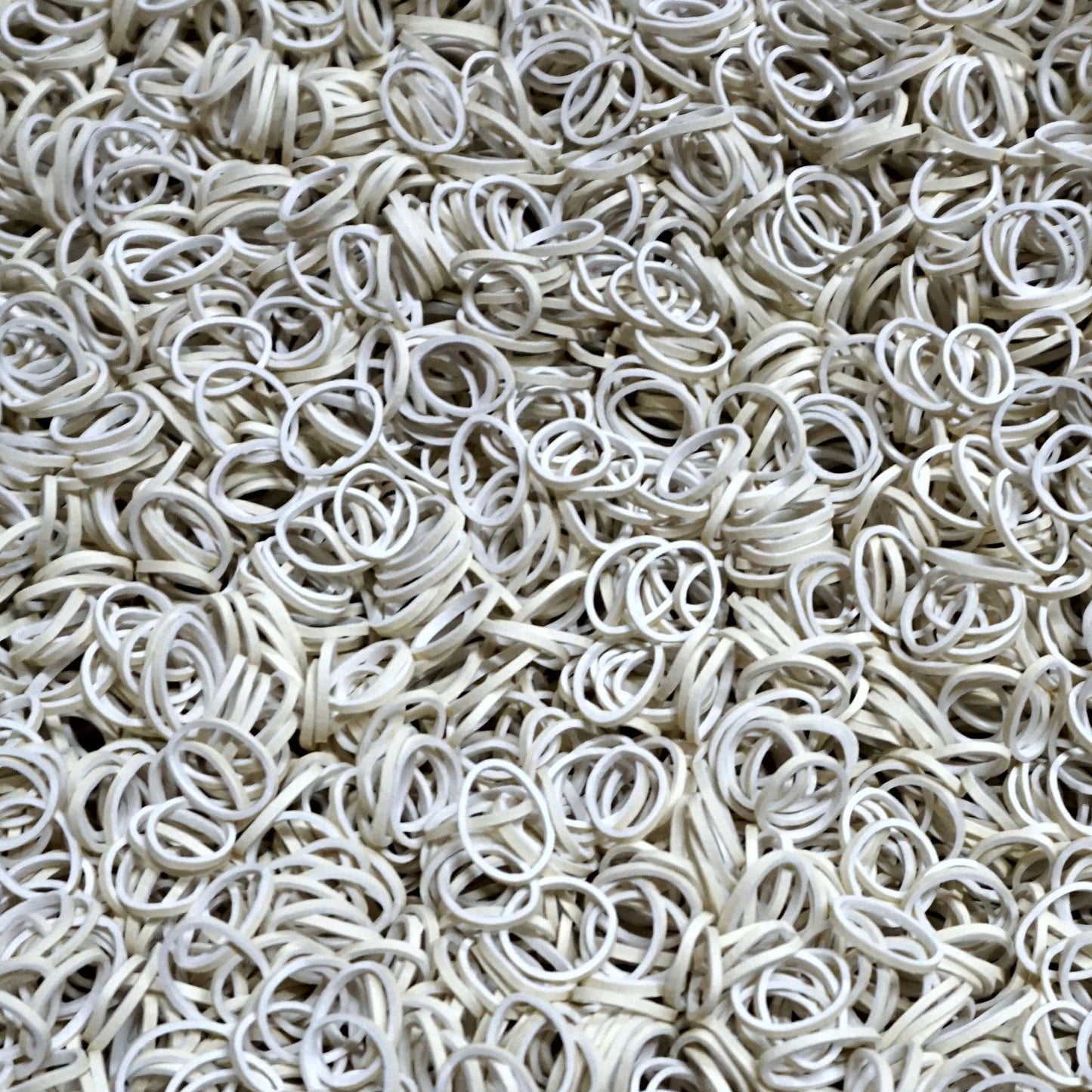 Amelia Beauty | 1/2in, 500ct Elastic Rubber Band Pony Tail Holders | Made in USA | Dozen Pack