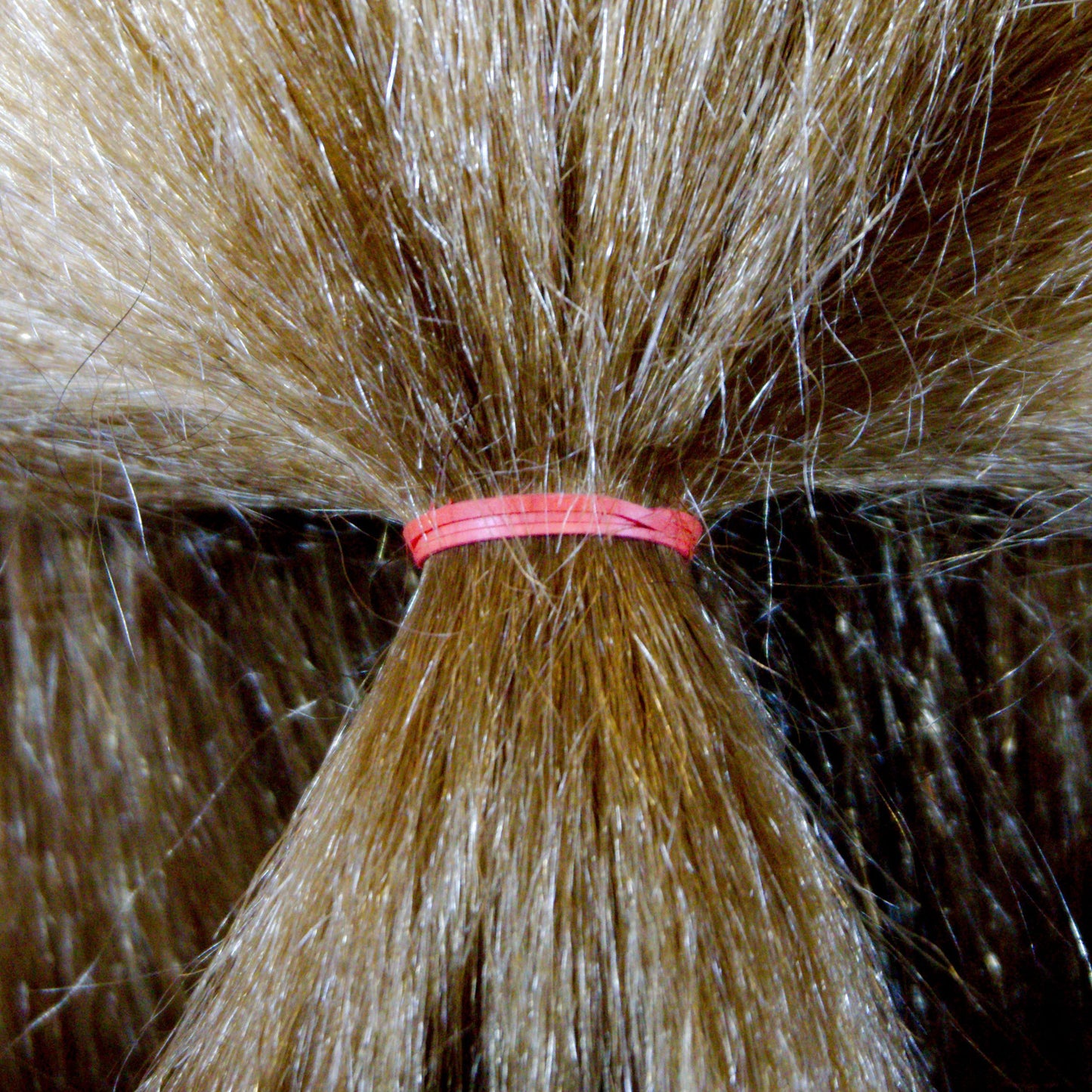 Amelia Beauty | 1/2in, Rainbow Mix, Elastic Rubber Band Pony Tail Holders | Made in USA, Ideal for Ponytails, Braids, Twists, Dreadlocks, Styling Accessories for Women, Men and Girls | 500 Pack