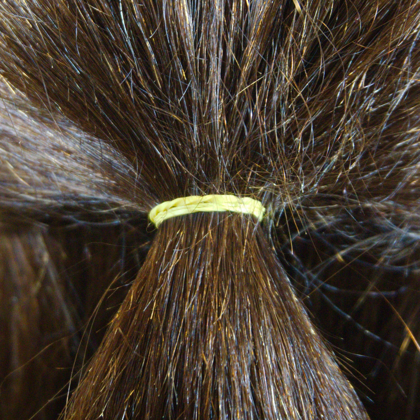 Amelia Beauty | 1/2in, Brights Neon Mix, Elastic Rubber Band Pony Tail Holders | Made in USA, Ideal for Ponytails, Braids, Twists, Dreadlocks, Styling Accessories for Women, Men and Girls | 500 Pack
