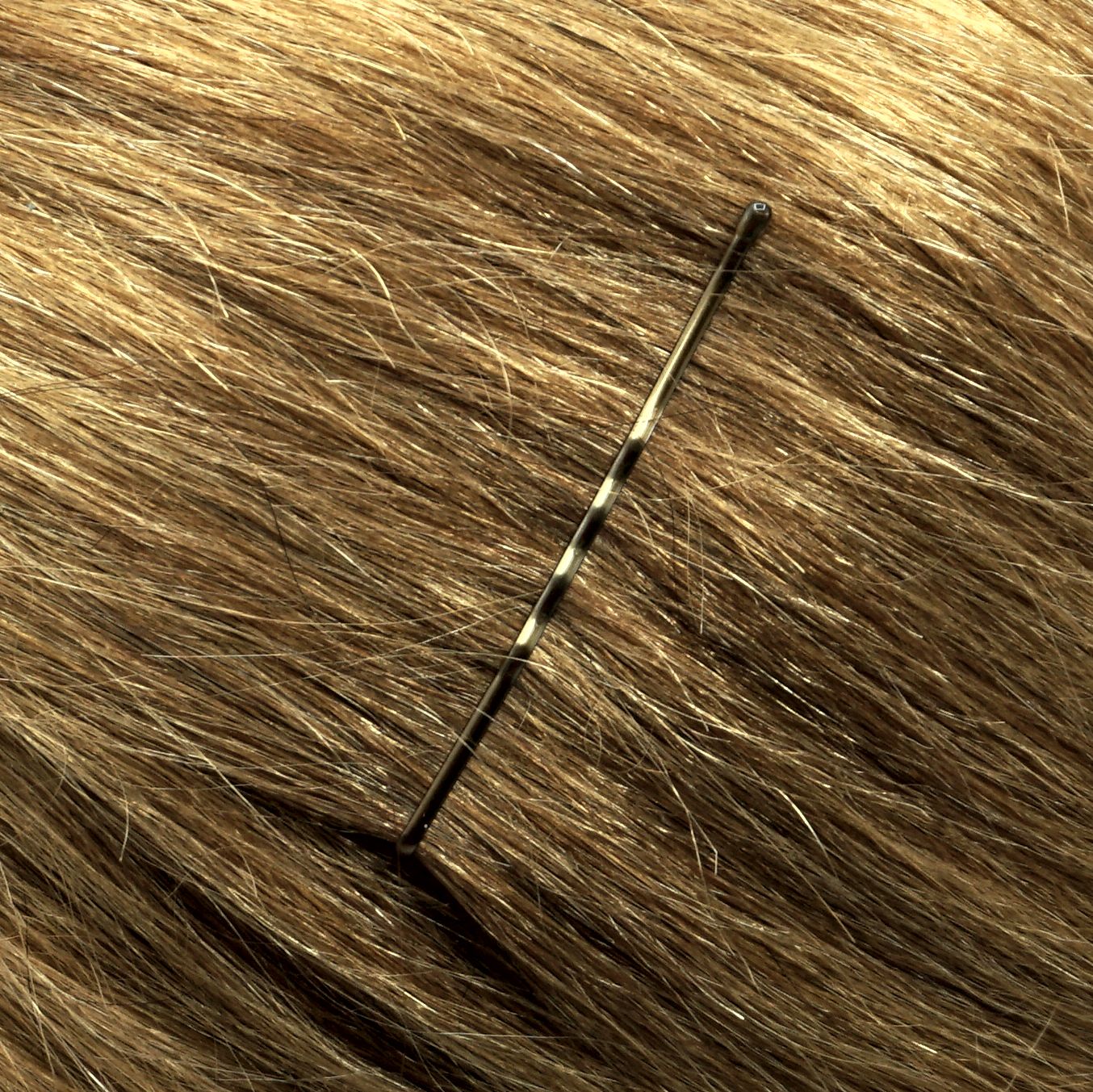 280, Brassed Color, 2.4in (6.0cm), Italian Made Bobby Pins, Recloseable Stay Clean and Organized Container