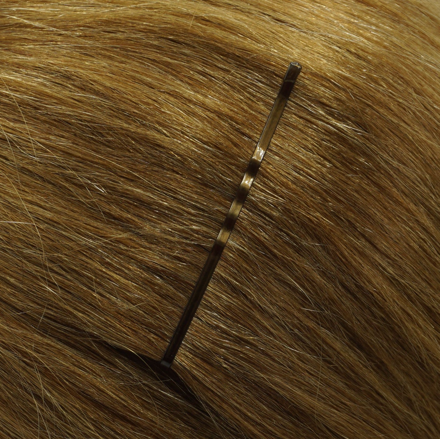180, Brown, 2.8in (7.0cm), Italian Made Jumbo Bobby Pins, Recloseable Stay Clean and Organized Container