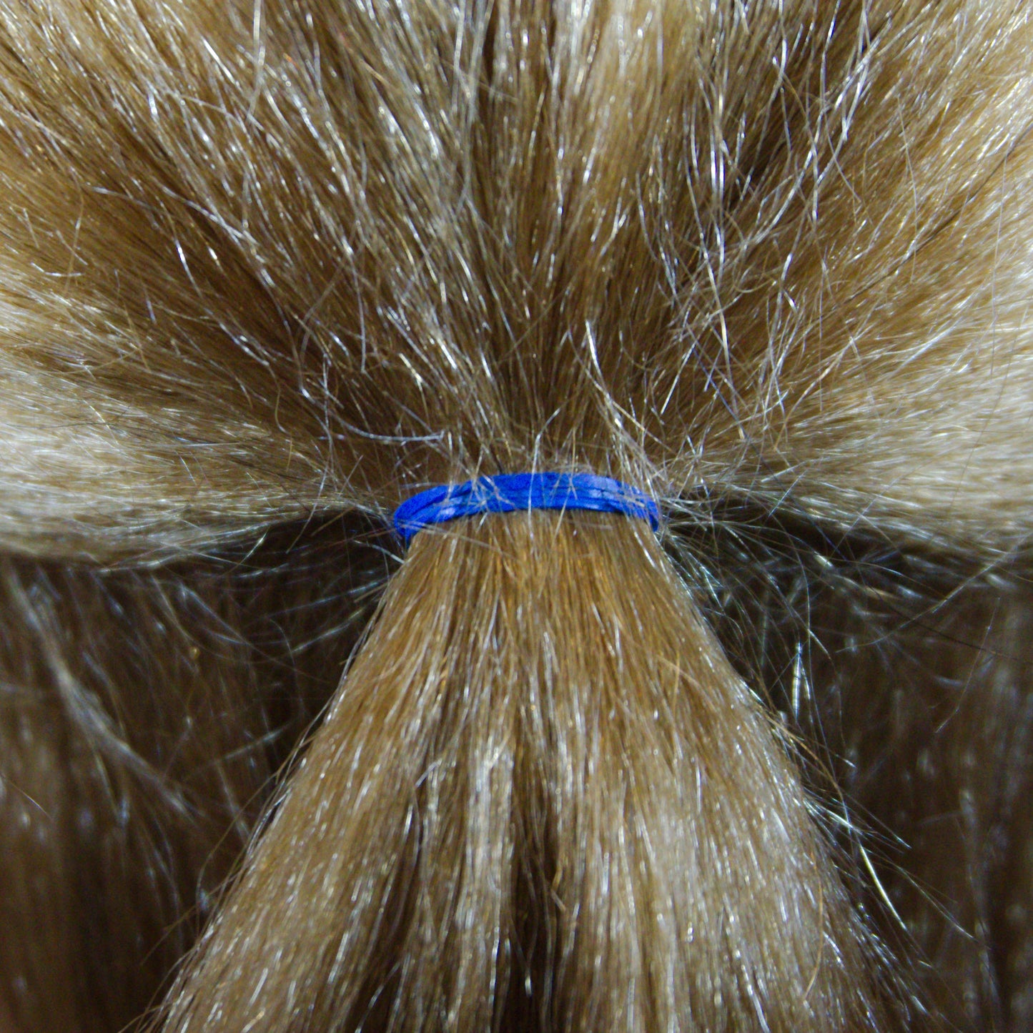 Amelia Beauty | 1/2in, Blue, Elastic Rubber Band Pony Tail Holders | Made in USA, Ideal for Ponytails, Braids, Twists, Dreadlocks, Styling Accessories for Women, Men and Girls | 500 Pack