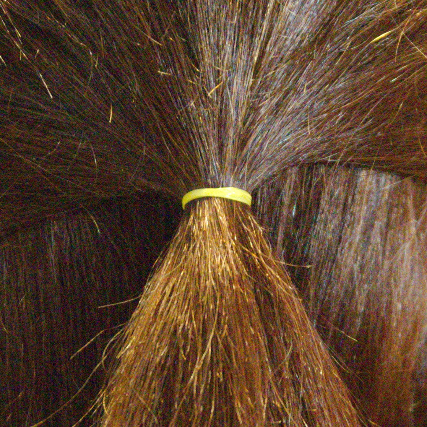 Amelia Beauty | 1/2in, Yellow, Tangle Free Elastic Pony Tail Holders | Made in USA, Ideal for Ponytails, Braids, Twists. For Women, Girls. Pain Free, Snag Free, Easy Off | 1000 Pack