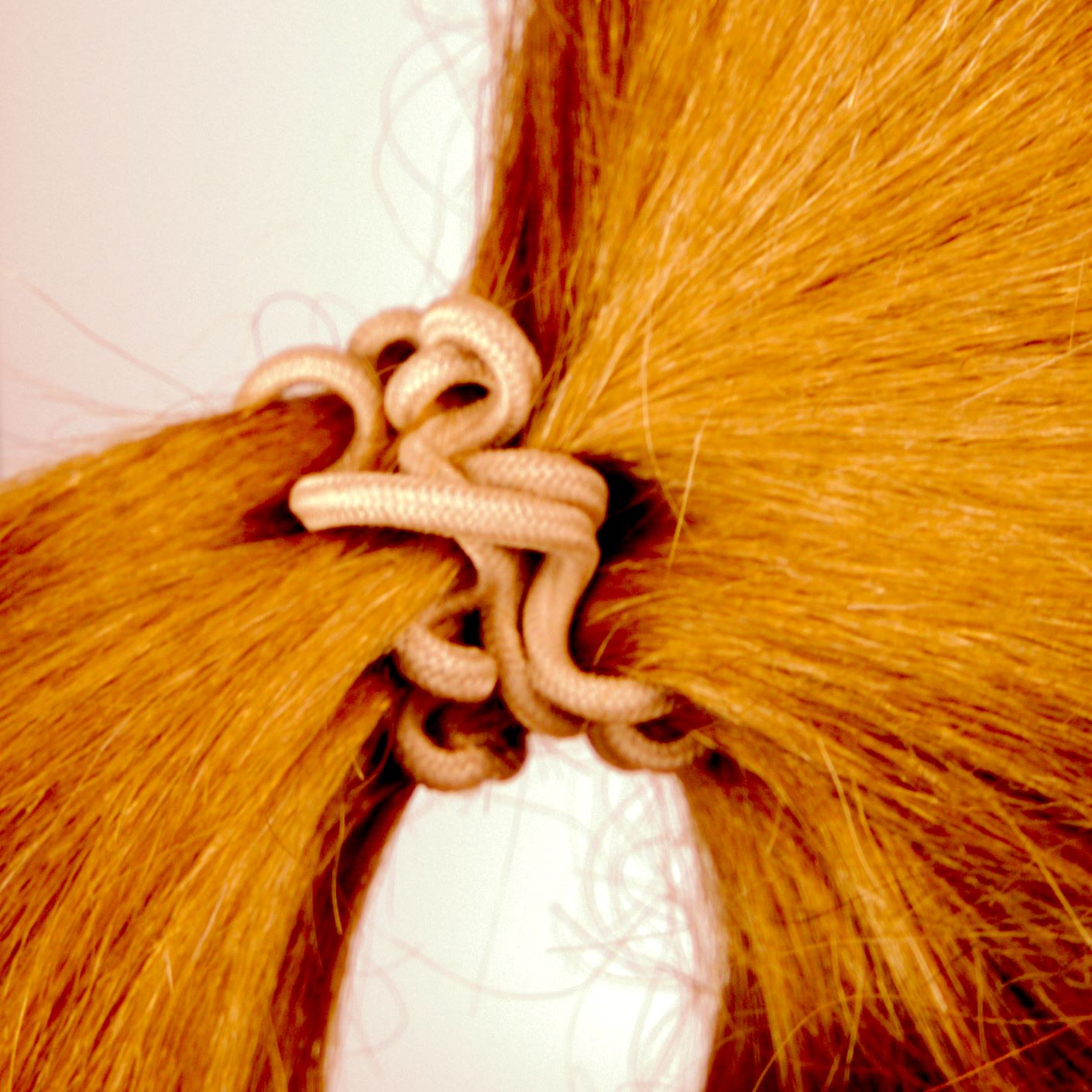 Amelia Beauty, 8 Small Fabric Wrapped Elastic Hair Coils, 1.75in Diameter Spiral Hair Ties, Gentle on Hair, Strong Hold and Minimizes Dents and Creases, Tan
