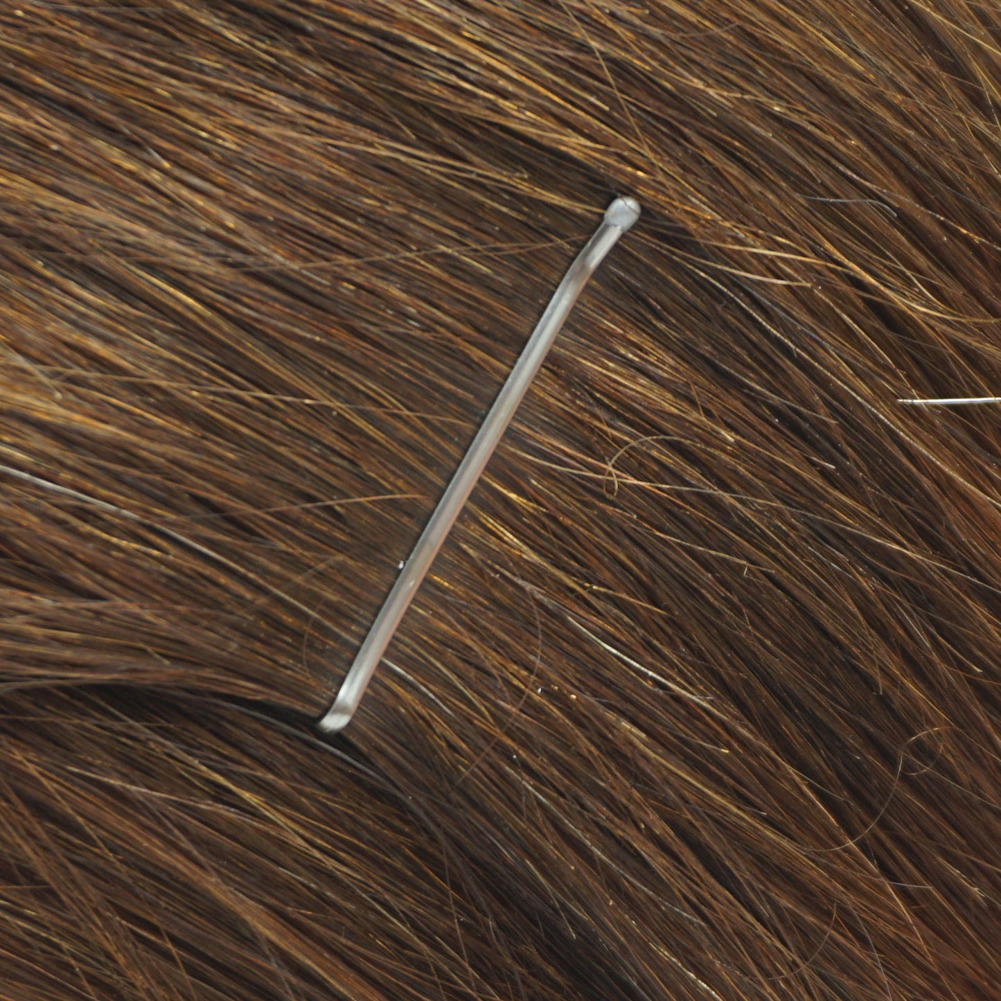 500, Grey, 1.6in (4.0cm), Flat Italian Made Bobby Pins, Recloseable Stay Clean and Organized Container
