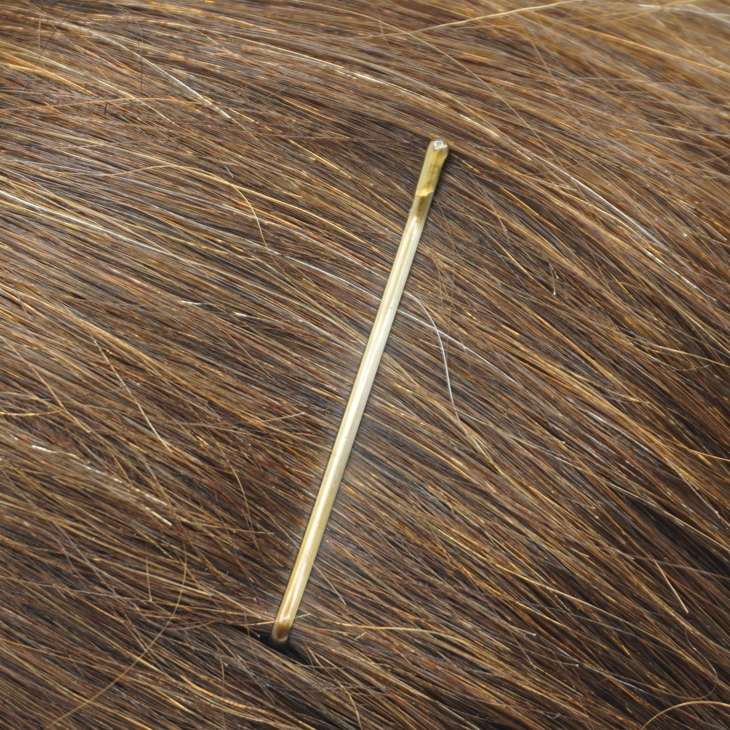 300, Brass Color, 2.0in (5.0cm), Italian Made Flat Bobby Pins, Recloseable Stay Clean and Organized Container