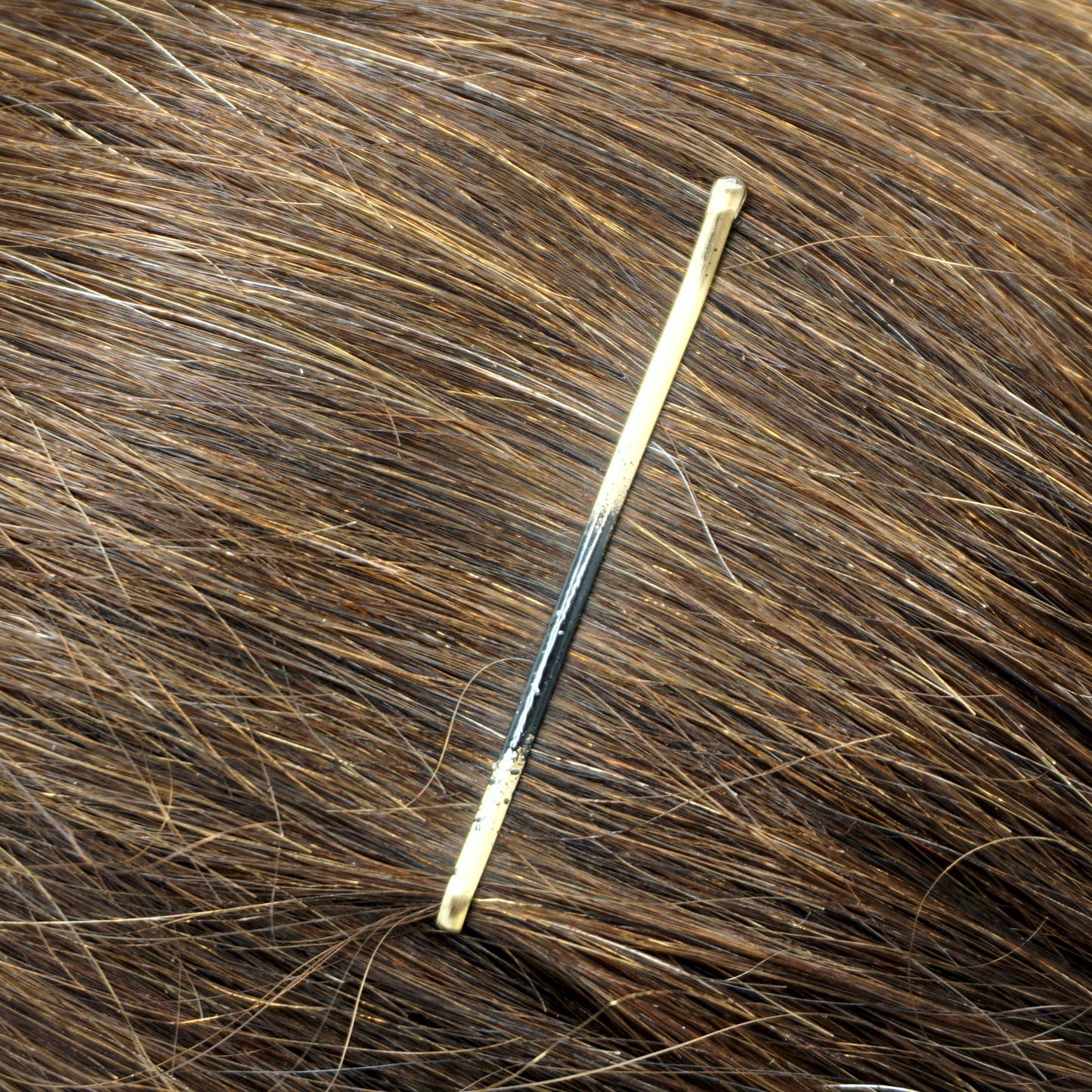 300, Tortoise Color (Brassed/Black), 2.0in (5.0cm), Italian Made Flat Bobby Pins, Recloseable Stay Clean and Organized Container