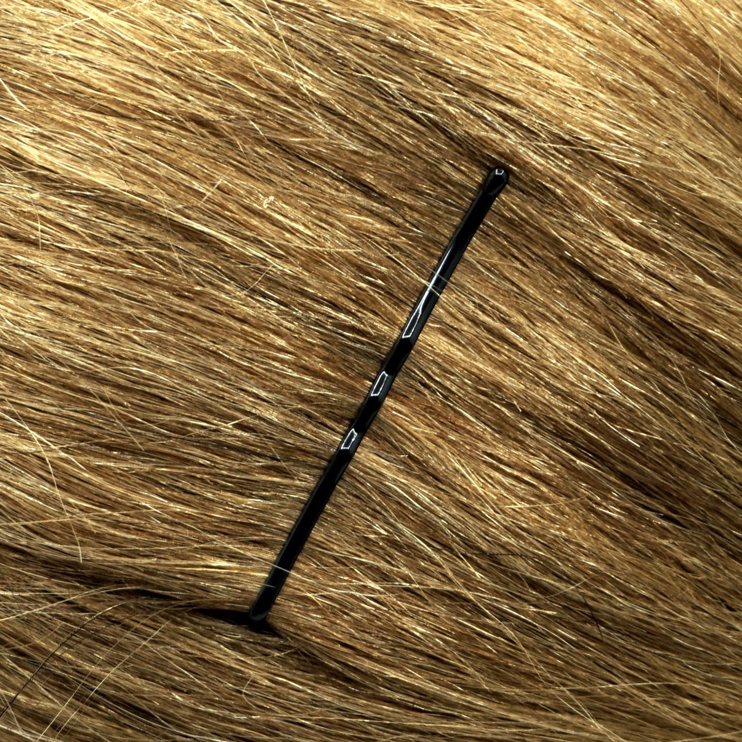300, Black, 2.0in (5.0cm), Italian Made Bobby Pins, Recloseable Stay Clean and Organized Container