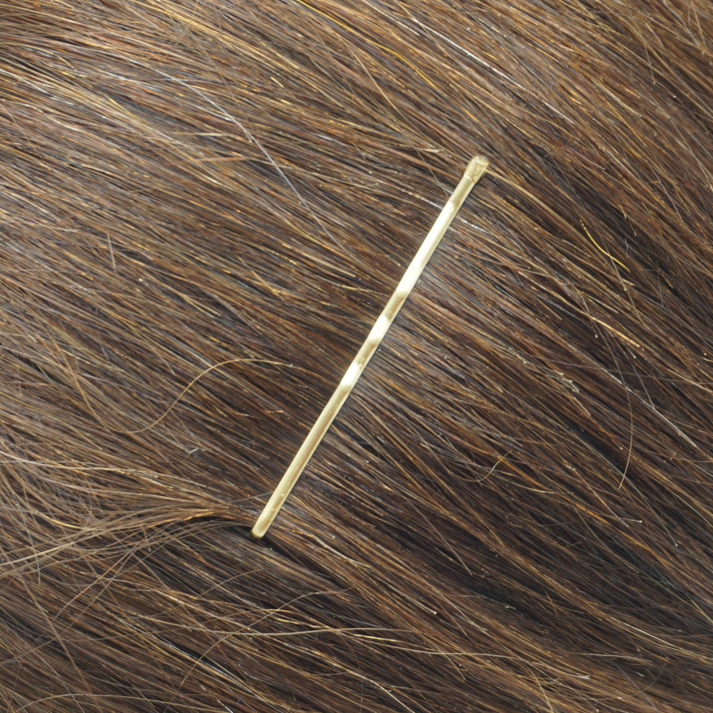 300, Brass Color, 2.0in (5.0cm), Italian Made Bobby Pins, Recloseable Stay Clean and Organized Container