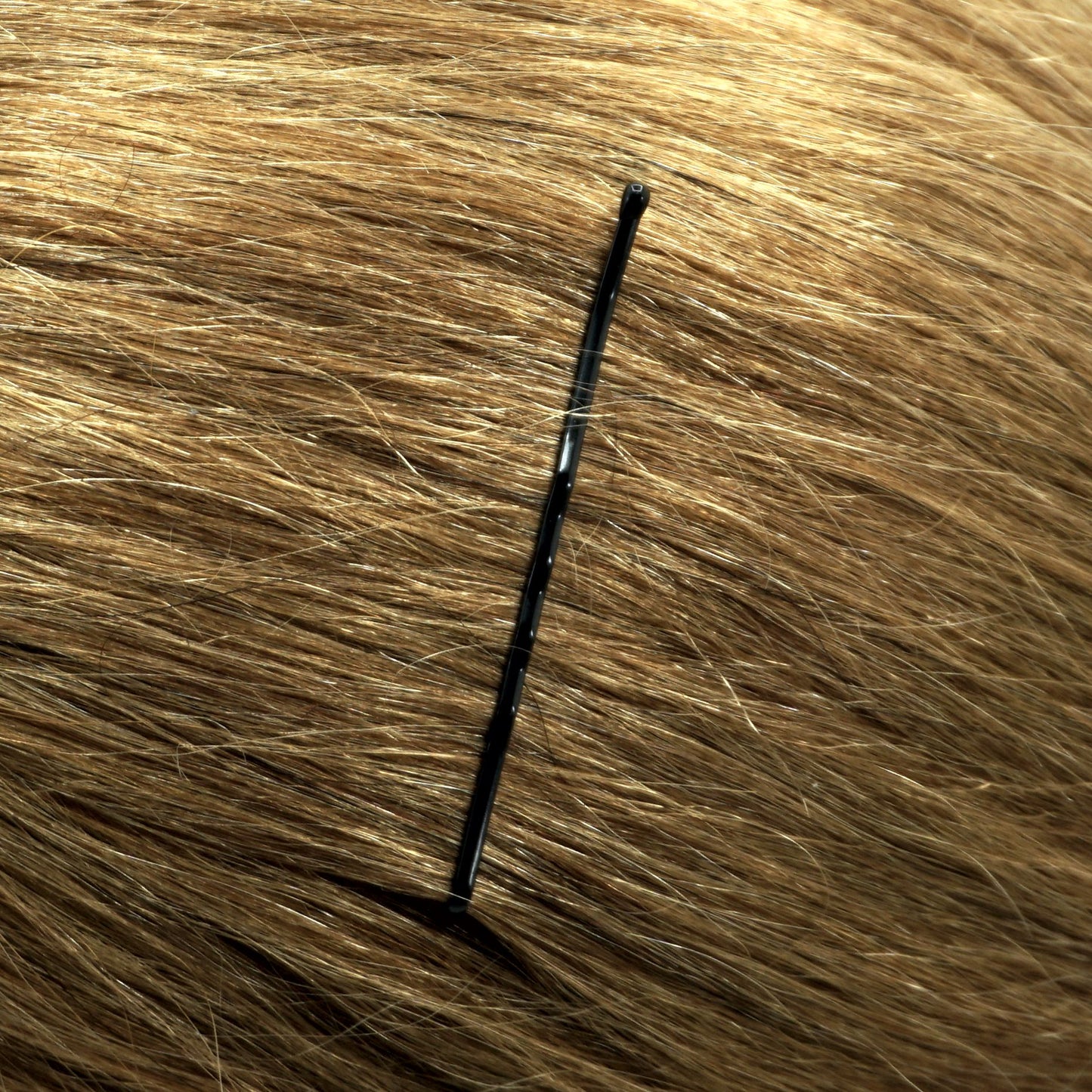 280, Black, 2.4in (6.0cm), Italian Made Bobby Pins, Recloseable Stay Clean and Organized Container