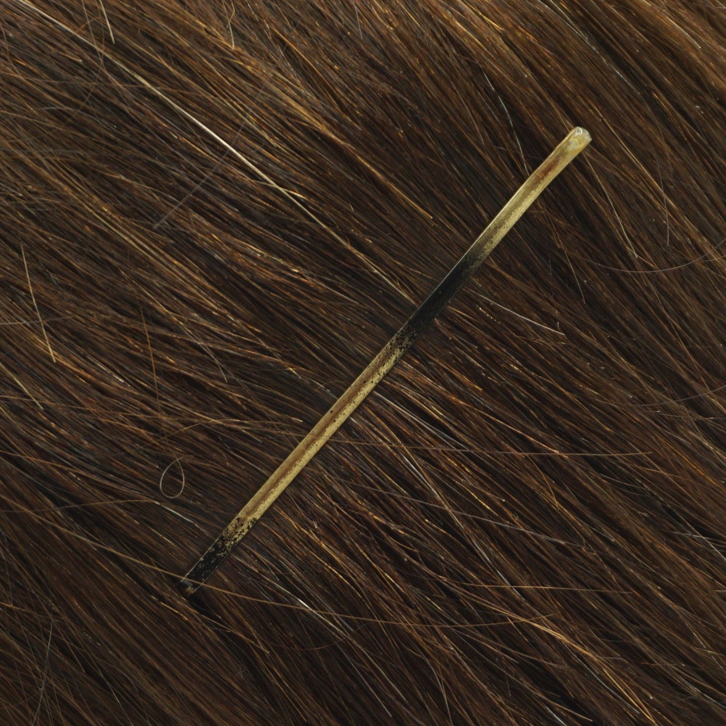 180, Tortoise Shell Color (Brassed/Black), 2.8in (7.0cm), Italian Made Jumbo Flat Bobby Pins, Recloseable Stay Clean and Organized Container