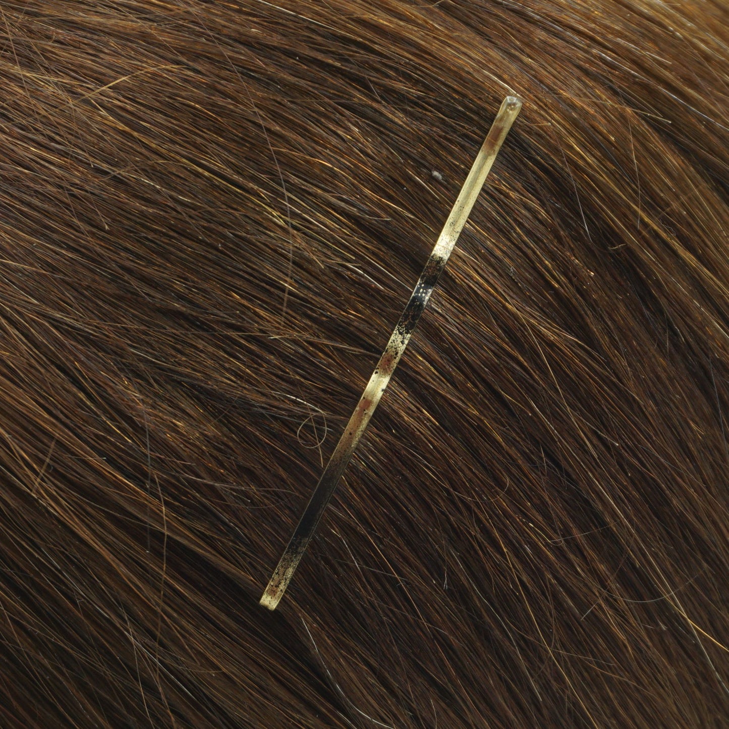 180, Tortoise Shell Color (Brassed/Black), 2.8in (7.0cm), Italian Made Jumbo Bobby Pins, Recloseable Stay Clean and Organized Container
