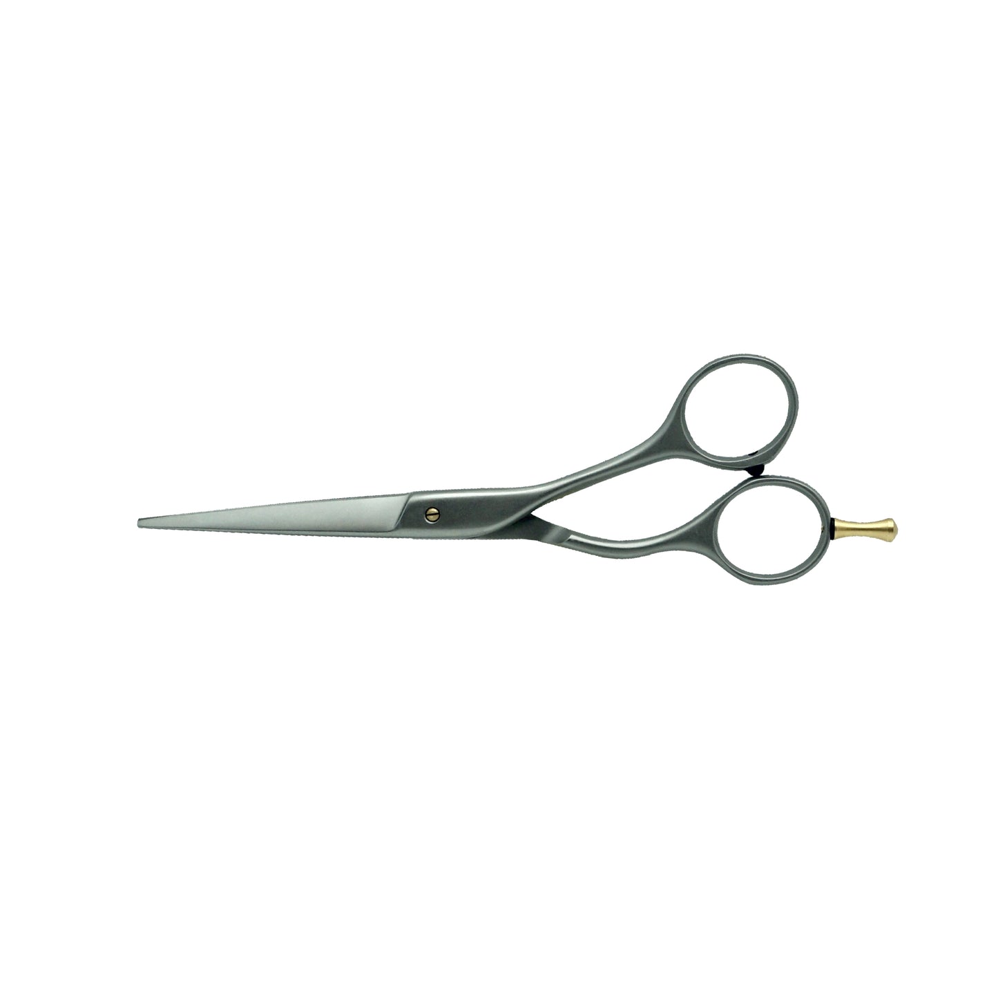 NTS Solingen 720-6.0 Ergo Silver Star German Scissors, 6.0in Length