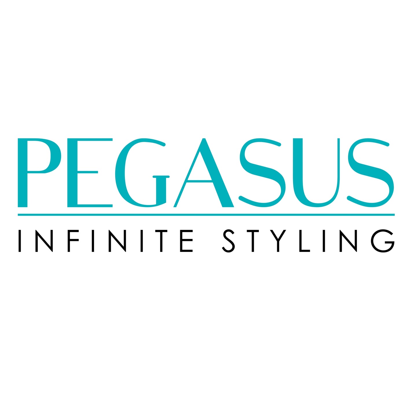 Pegasus 610, 9in Hard Rubber Heavy Styling Comb, Handmade, Seamless, Smooth Edges, Anti Static, Heat and Chemically Resistant, Portable Pocket Purse Dresser Comb | Peines de goma dura - Black