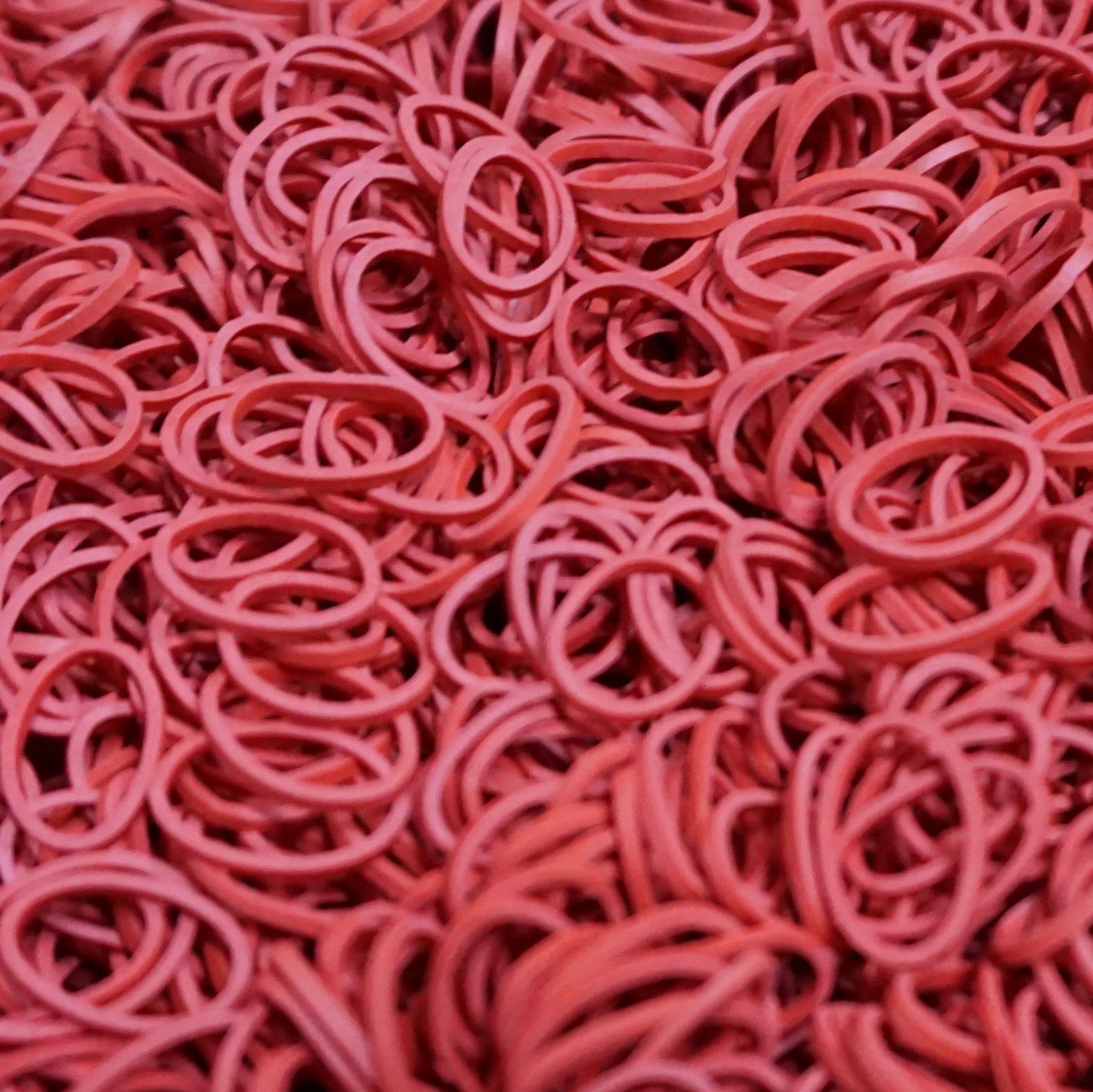 Amelia Beauty | 1/2in, Red, Elastic Rubber Band Pony Tail Holders | Made in USA, Ideal for Ponytails, Braids, Twists, Dreadlocks, Styling Accessories for Women, Men and Girls | 500 Pack