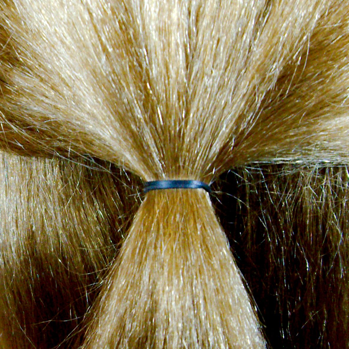 Amelia Beauty | 1/2in, Black, Elastic Rubber Band Pony Tail Holders | Made in USA, Ideal for Ponytails, Braids, Twists, Dreadlocks, Styling Accessories for Women, Men and Girls | 1000 Pack