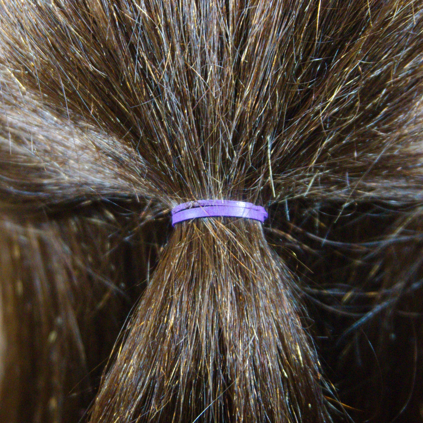 Amelia Beauty | 1/2in, Purple, Elastic Rubber Band Pony Tail Holders | Made in USA, Ideal for Ponytails, Braids, Twists, Dreadlocks, Styling Accessories for Women, Men and Girls | 500 Pack