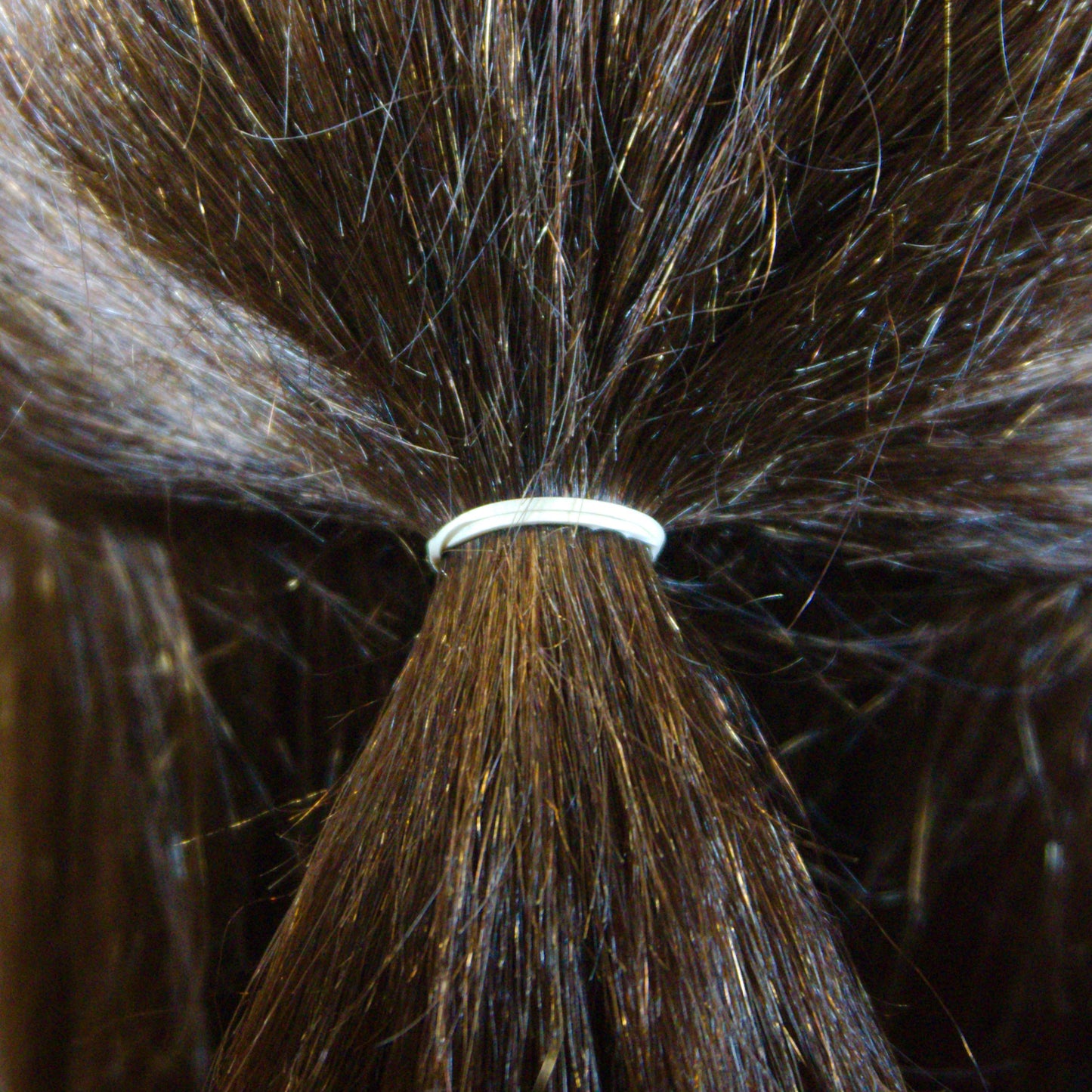 Amelia Beauty | 1/2in, Creme, Elastic Rubber Band Pony Tail Holders | Made in USA, Ideal for Ponytails, Braids, Twists, Dreadlocks, Styling Accessories for Women, Men and Girls | 1000 Pack