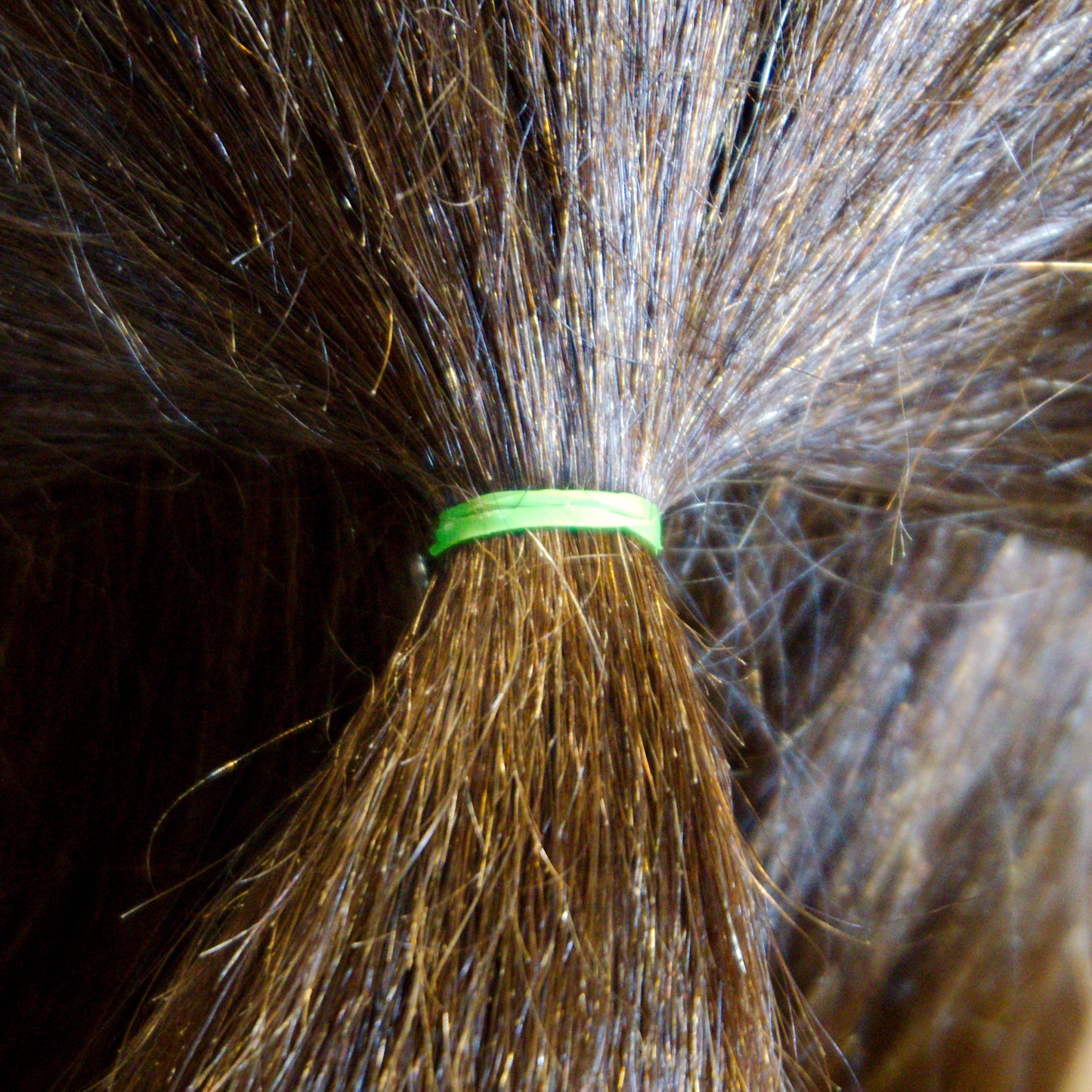 Amelia Beauty | 1/2in, Brights Neon Mix, Tangle Free Elastic Pony Tail Holders | Made in USA, Ideal for Ponytails, Braids, Twists. For Women, Girls. Pain Free, Snag Free, Easy Off | 1000 Pack