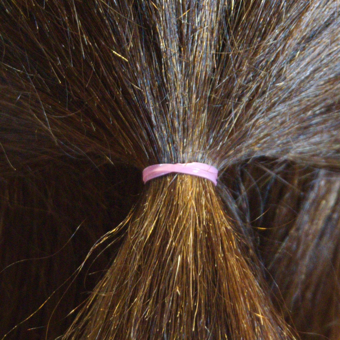 Amelia Beauty | 1/2in, Brights Neon Mix, Tangle Free Elastic Pony Tail Holders | Made in USA, Ideal for Ponytails, Braids, Twists. For Women, Girls. Pain Free, Snag Free, Easy Off | 1000 Pack